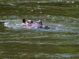 flyfishing-Tanzania