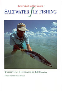 currier-saltwater-book