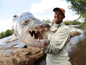 jeff currier tigerfish