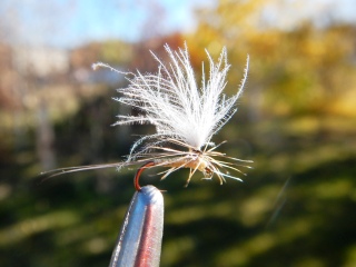 blog-Oct-22-2013-8-European-dry-fly