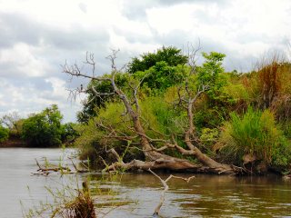 blog-Nov-11-2013-4-vundu-fishing