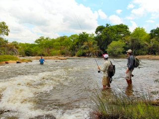 blog-Nov-12-2013-16-tigerfishing