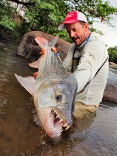 blog-Nov-12-2013-7-Jeff-Currier-tigerfish