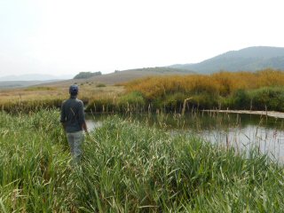 fly fishing Wyoming