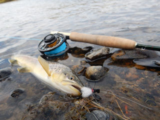 Winston Fly Rods