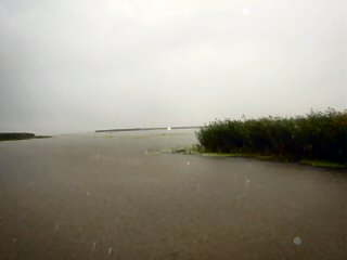fly fish Louisiana