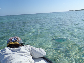 permit fishing
