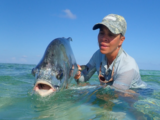permit on the fly
