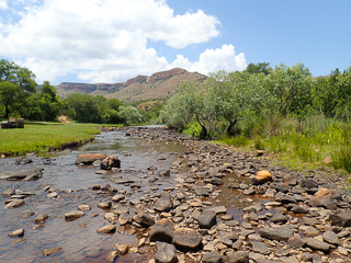 Spekboom River