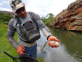 Daniel Factor trout fishing Africa