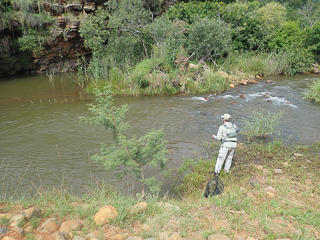 flyfishing-the-spekboom-river