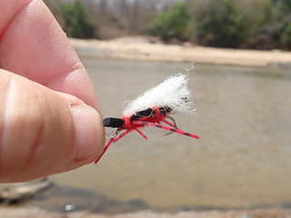 best-fly-pattern