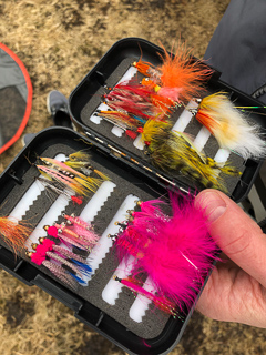 Arctic-char-flies