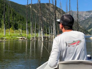 fish-shirts-rainbow-trout