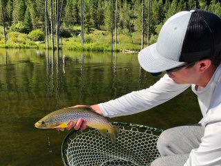 Mark-Kuhn-brown-trout