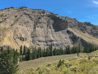 fish-wyoming