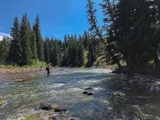 fly-fishing