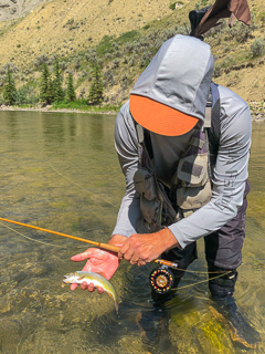 fishing