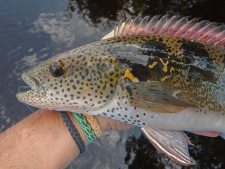 jacunda-fishing