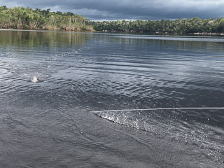 popper-fishing