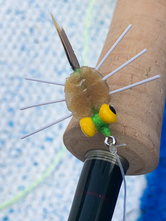 permit-flies