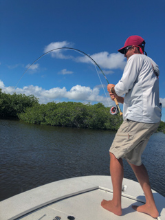Jeff-Currier-tarpon