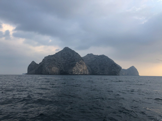 fish-Musandam