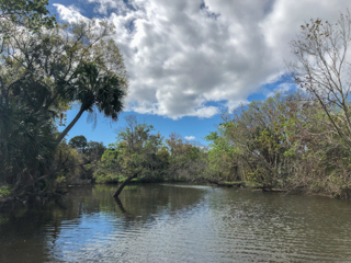 Turkey-Creek-Florida