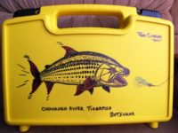 tigerfish-art