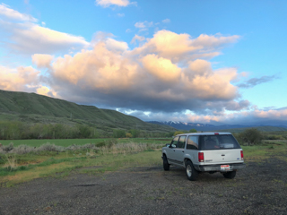 fish-Montana