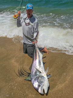 huge-roosterfish