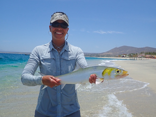 ladyfish-baja