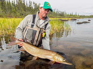 Manitoba-pike