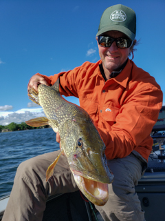 Jeff-Currier-pike