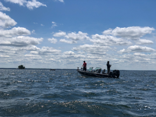 walleye-Mille-Lacs