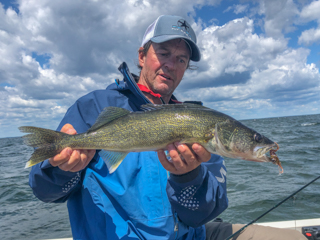 Currier-walleye