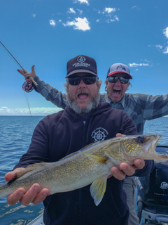 walleye
