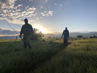 fly-fish-idaho