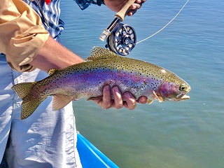 Idaho