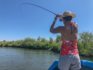 fish-on