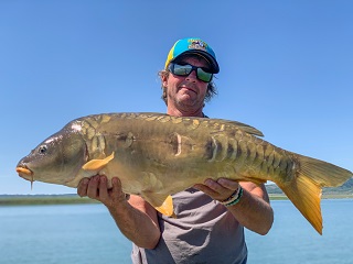Currier-carp