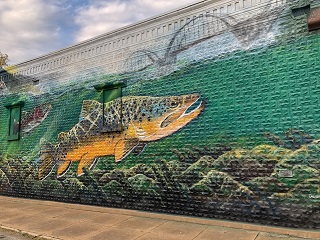 Cotter-Arkansas
