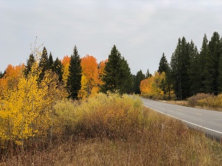 Yellowstone
