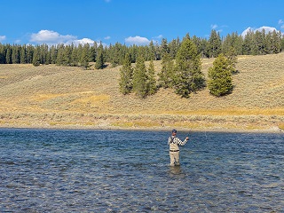 Yellowstone-River