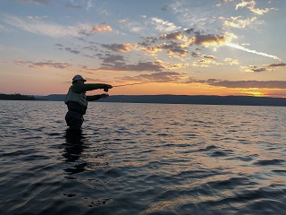Lewis-Lake