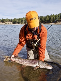 Jeff-Currier-pike