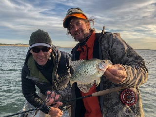 Currier-crappies