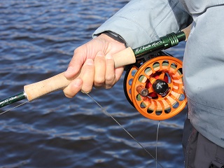 bauer-reel