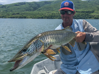 Currier-muskie