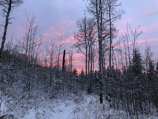 Idaho
